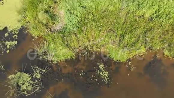 河床是无人驾驶飞机的俯视图视频的预览图