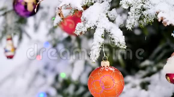 在冬天的森林里在灯光的背景下在白雪覆盖的活泼的树上特写一个圣诞玩具小型自由度视频的预览图