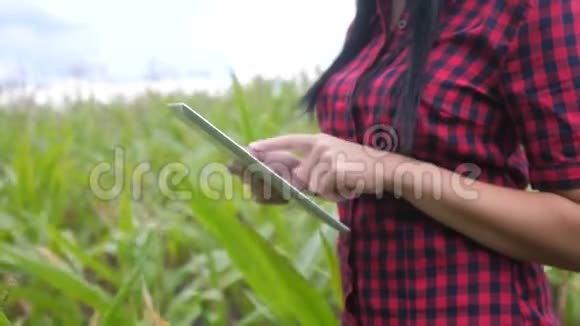 生活方式智慧生态农业耕作理念农家女植物研究员一边用一边摸平板电脑检查视频的预览图