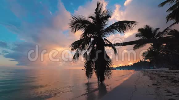 热带天堂岛海滩和海洋日出视频的预览图