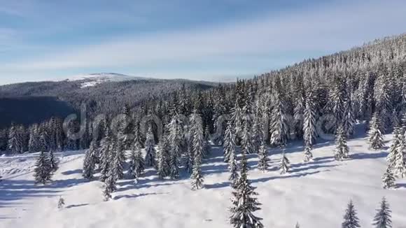 无人机俯瞰冰雪覆盖的冬季森林视频的预览图