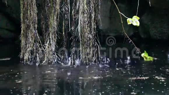 蒙奇克纯鲜山水溪阿尔加维葡萄牙视频的预览图