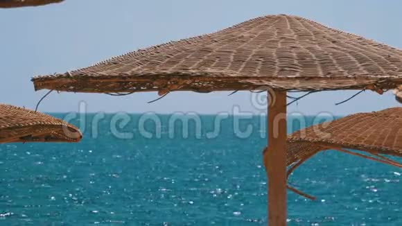 埃及空海滩上大海背景的雨伞视频的预览图