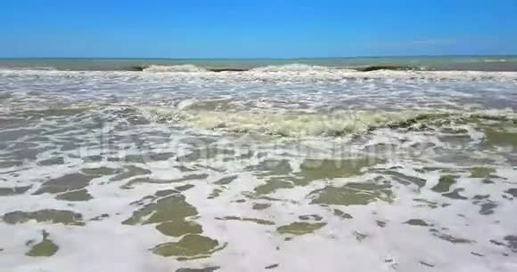 热带加勒比海沙滩金色沙滩度假放松视频的预览图
