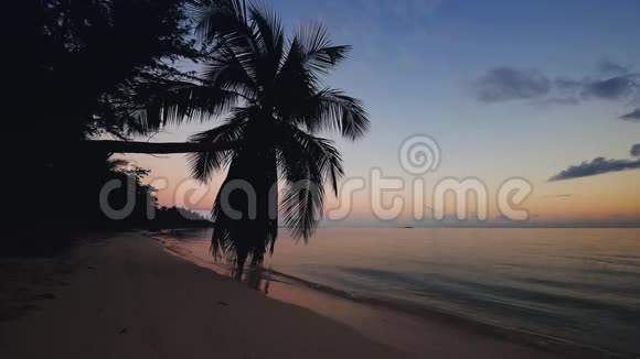 热带天堂岛海滩和海边的日出椰树视频的预览图