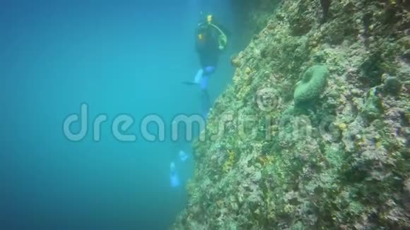 潜水员在海底游泳视频的预览图
