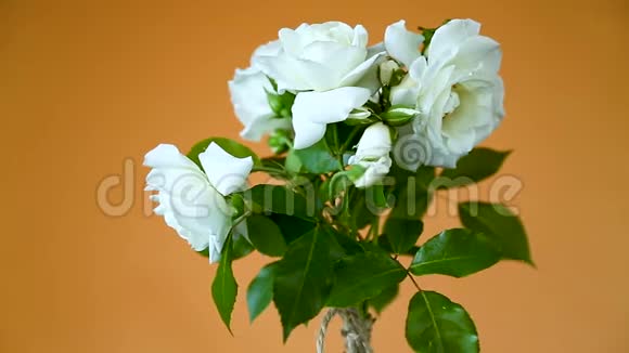 橙色的白色玫瑰花束视频的预览图
