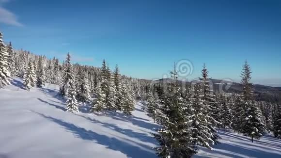 无人机俯瞰冰雪覆盖的冬季森林视频的预览图
