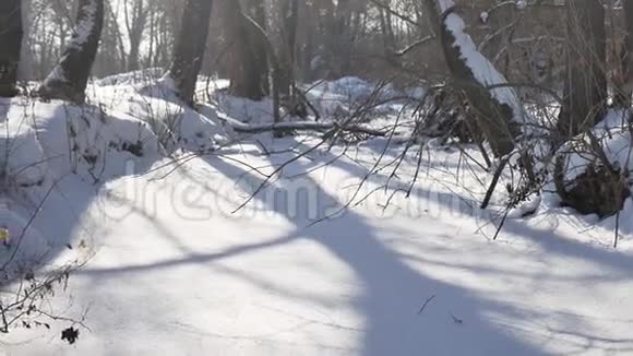 冰雪覆盖的森林溪流自然景观的雪顶视频的预览图