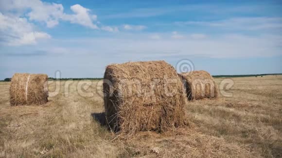 农业农业概念慢镜头美丽的蓝天下麦田上的干草堆农业视频的预览图
