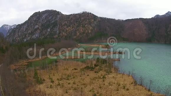 空中观景飞越奥地利山区的森林视频的预览图