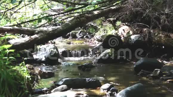 Sayan山脉美丽的小瀑布视频的预览图