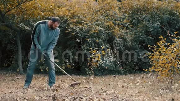 花园工人用耙子耙干花园里的树叶视频的预览图