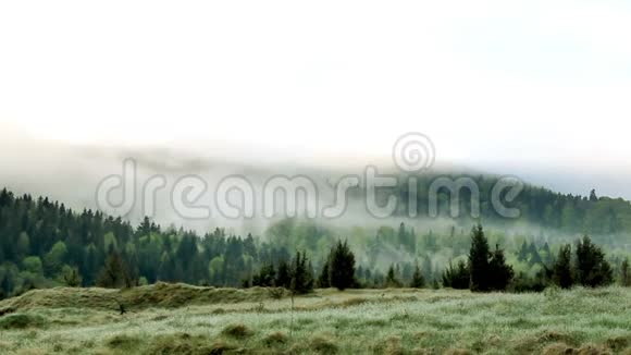 早晨的喀尔巴阡山景观视频的预览图