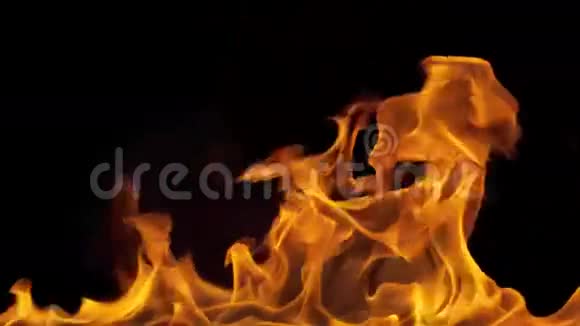 燃烧火焰全屏视频的预览图