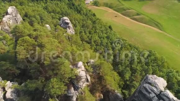 德国萨克森的巴斯蒂公园精彩的空中无人机全景视频的预览图