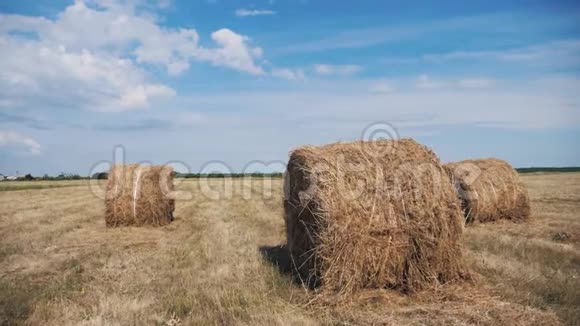 农业农业概念慢镜头美丽的蓝天下麦田上的干草堆农业视频的预览图