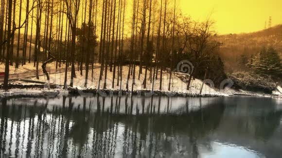 森林倒影在水中涟漪雪视频的预览图