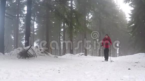 北欧人在冬天的森林里散步视频的预览图