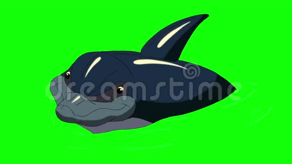 海军蓝海豚在水中视频的预览图