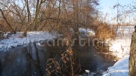 冬季河流景观森林冻水自然冰干草视频的预览图