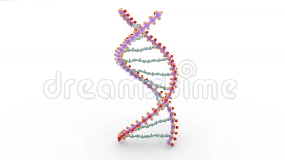 DNA三维纺丝分子视频的预览图