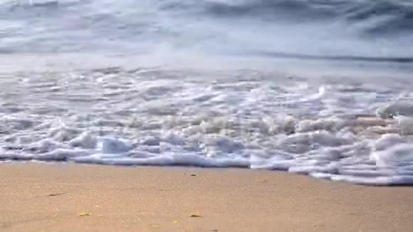 水波海景乡村风光视频的预览图