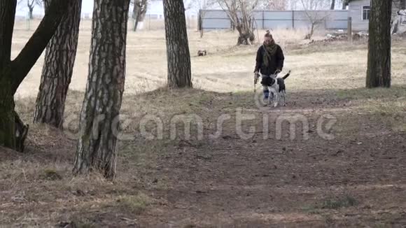 春天女孩遛一只大盲狗视频的预览图