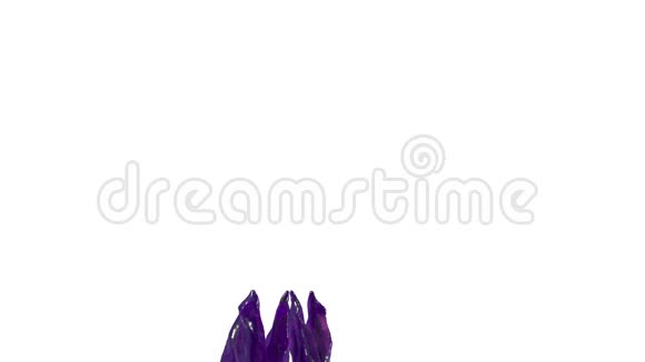几种紫色的液体流流动的果汁广告液体被模拟和渲染非常详细3d视频的预览图