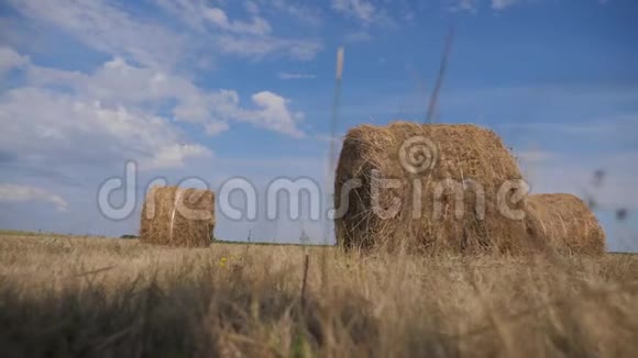 农业养殖概念慢动作视频在美丽的蓝色多云的天空生活方式下麦田上的干草堆视频的预览图