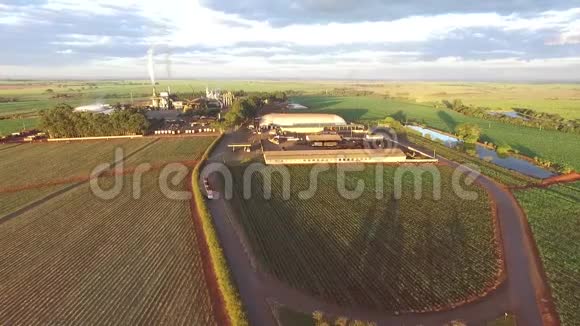 甘蔗产业鸟瞰图视频的预览图