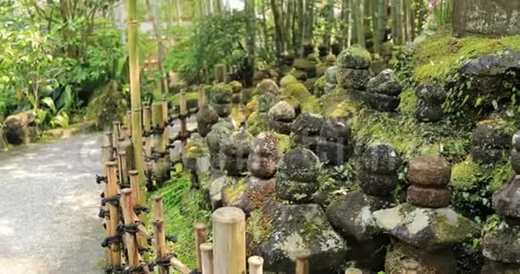 神奈川镰仓日本花园视频的预览图