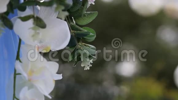 婚礼装饰用天然花卉拱起视频的预览图