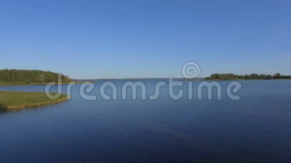 俄罗斯美丽的塞利格湖水面芦苇和森林的鸟瞰图视频的预览图