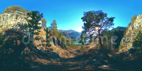 秋天阳光明媚的时候一个山景的VR野山松树和巨大的岩石视频的预览图