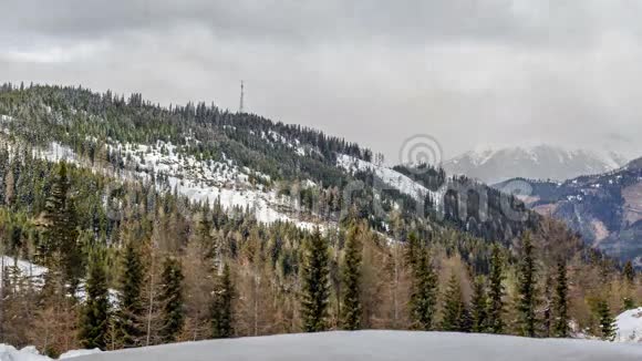 阿尔卑斯山的冬季森林视频的预览图