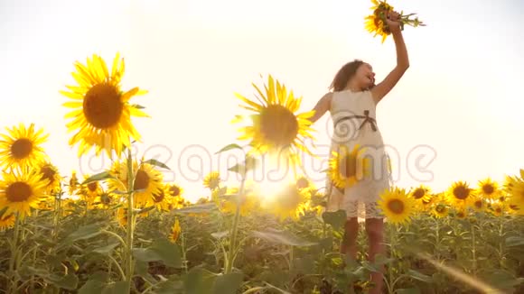 可爱的女孩在黄色的花园向日葵阳光在生活方式夏季美丽的日落小女孩向日葵视频的预览图