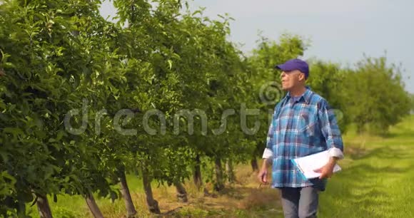 男性研究员在剪贴板上写字时看树视频的预览图