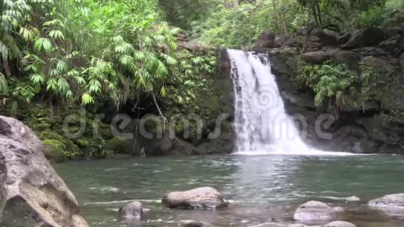 风景秀丽的毛伊瀑布视频的预览图