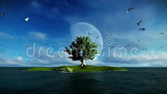 孤岛和树木环绕着海洋海鸥飞翔清晨满月视频的预览图