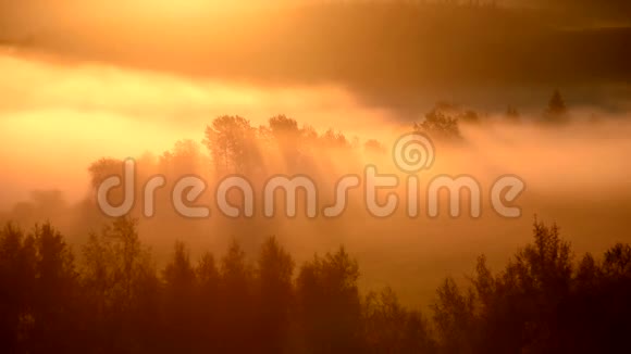 日出时树间的太阳光线在秋天的薄雾中视频的预览图