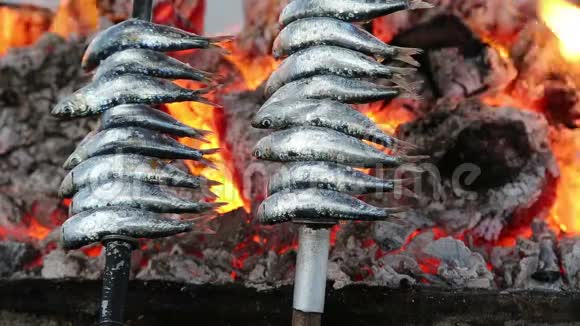 烧烤鱼烤热煤篝火视频的预览图