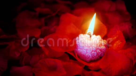 玫瑰花瓣粉红色蜡烛情人节视频的预览图