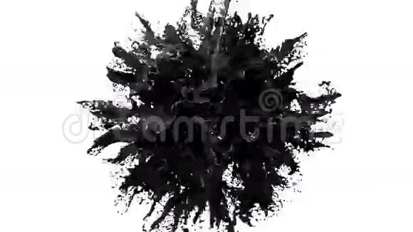 像油一样溅出黑色的油漆爆炸流体液体在缓慢运动中爆炸阿尔法通道面罩包括全套视频的预览图