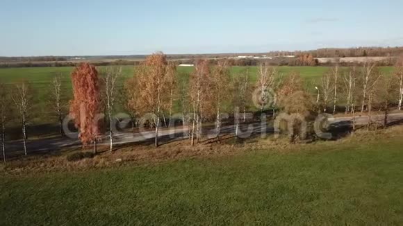 秋季景观鸟瞰视频的预览图