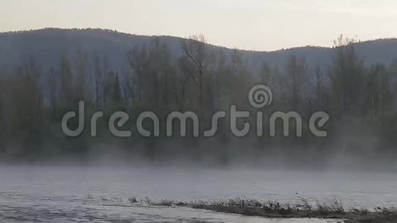 雾笼罩着河上的黎明视频的预览图