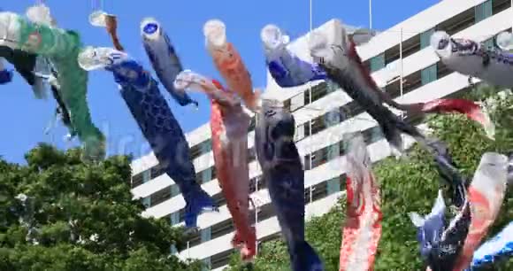 东京公园的鲤鱼流光白天阳光明媚视频的预览图