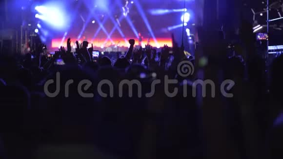 音乐摇滚乐队音乐会上激动人心的歌迷视频的预览图