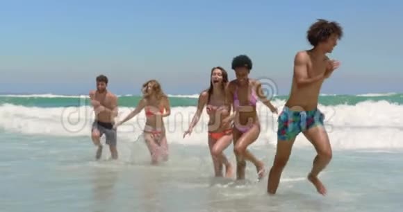年轻朋友在沙滩上一起跑步4k视频的预览图