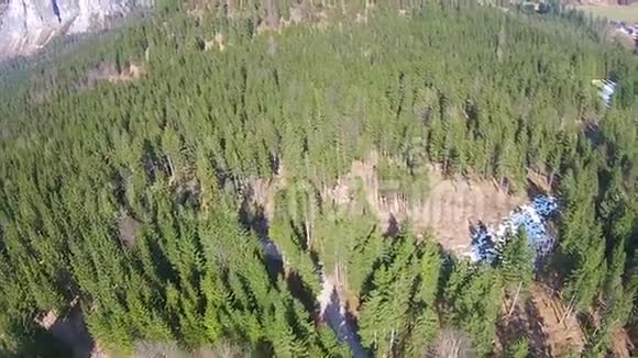 空中观景飞越奥地利山区的森林视频的预览图